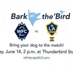 Bark at the 'Bird 2015