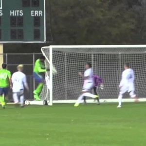 Great Dane, Great Save