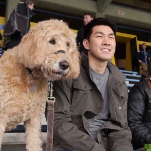 Bring your dog to a WFC2 match